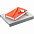 Набор Idea Memory, красный с логотипом в Волгограде заказать по выгодной цене в кибермаркете AvroraStore