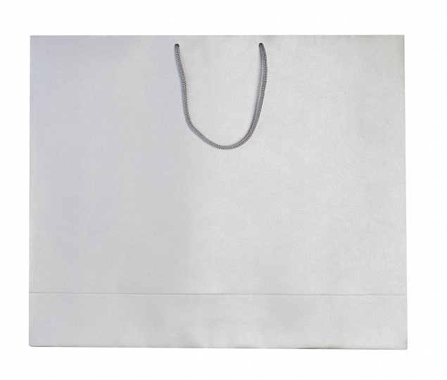 Пакет бумажный «Блеск», большой, серебристый с логотипом в Волгограде заказать по выгодной цене в кибермаркете AvroraStore