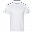 Рубашка поло Рубашка мужская 104 Чёрный с логотипом в Волгограде заказать по выгодной цене в кибермаркете AvroraStore