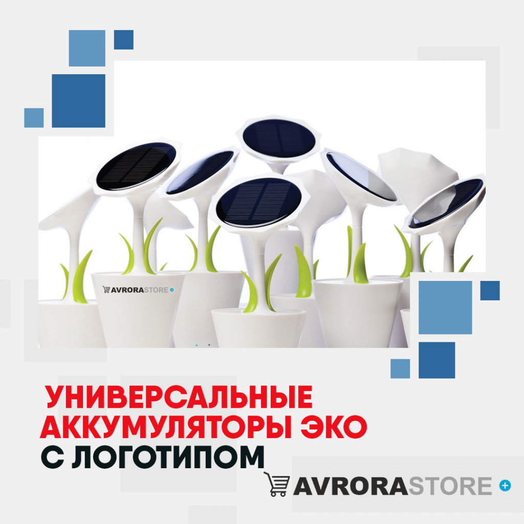 Аккумуляторы ЭКО с логотипом в Волгограде купить на заказ в кибермаркете AvroraSTORE
