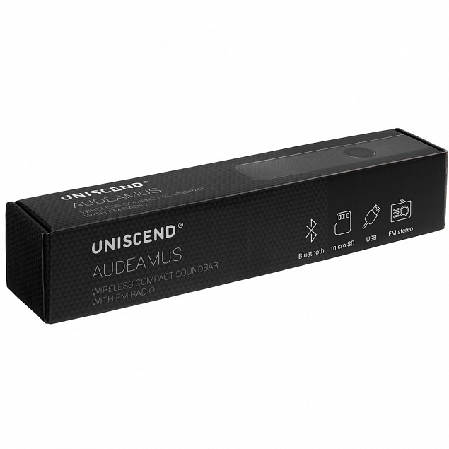 Беспроводная стереоколонка с FM-радио Uniscend Audeamus, черная с логотипом в Волгограде заказать по выгодной цене в кибермаркете AvroraStore