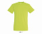 Фуфайка (футболка) REGENT мужская,Зеленое яблоко XXS с логотипом в Волгограде заказать по выгодной цене в кибермаркете AvroraStore