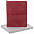 Набор Business Diary, красный с логотипом в Волгограде заказать по выгодной цене в кибермаркете AvroraStore