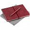 Набор Business Diary, красный с логотипом в Волгограде заказать по выгодной цене в кибермаркете AvroraStore