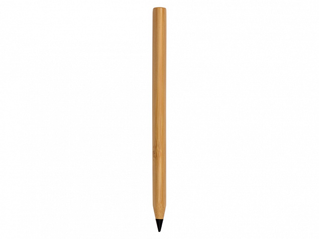 Вечный карандаш Picasso Eco с логотипом в Волгограде заказать по выгодной цене в кибермаркете AvroraStore