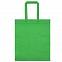 Сумка для покупок Span 70, зеленая с логотипом в Волгограде заказать по выгодной цене в кибермаркете AvroraStore