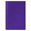 Ежедневник недатированный City Canyon 145х205 мм, без календаря, фиолетовый с логотипом в Волгограде заказать по выгодной цене в кибермаркете AvroraStore
