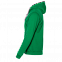 Толстовка мужская 17 Зелёный с логотипом в Волгограде заказать по выгодной цене в кибермаркете AvroraStore