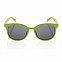 Солнцезащитные очки ECO, зеленый с логотипом в Волгограде заказать по выгодной цене в кибермаркете AvroraStore