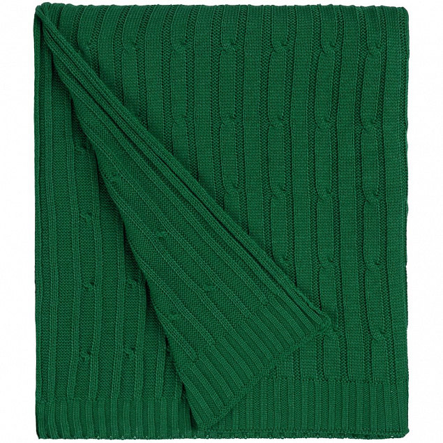 Плед Remit, темно-зеленый с логотипом в Волгограде заказать по выгодной цене в кибермаркете AvroraStore