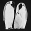 Свитшот детский Like a Penguin, черный с логотипом в Волгограде заказать по выгодной цене в кибермаркете AvroraStore