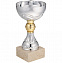 Кубок Grail, серебристый с логотипом в Волгограде заказать по выгодной цене в кибермаркете AvroraStore