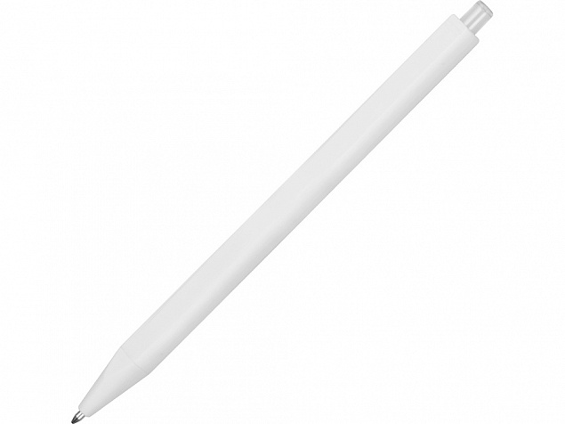 Ручка пластиковая шариковая Pigra P01 с логотипом в Волгограде заказать по выгодной цене в кибермаркете AvroraStore