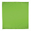 Платок-бандана BANDANA - Светло-зеленый YY с логотипом в Волгограде заказать по выгодной цене в кибермаркете AvroraStore