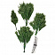 Искусственная ель Ms.Tree, 210 см с логотипом в Волгограде заказать по выгодной цене в кибермаркете AvroraStore