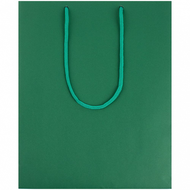 Пакет Wide, зеленый с логотипом в Волгограде заказать по выгодной цене в кибермаркете AvroraStore