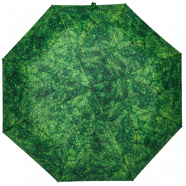 Зонт складной Evergreen с логотипом в Волгограде заказать по выгодной цене в кибермаркете AvroraStore