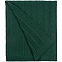 Плед Trenza, зеленый с логотипом в Волгограде заказать по выгодной цене в кибермаркете AvroraStore