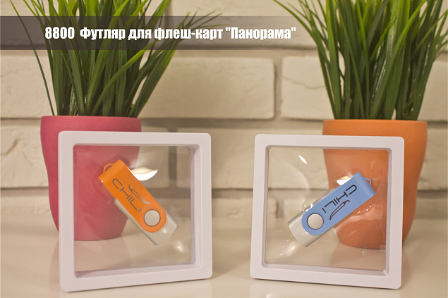Футляр для флеш-карт "Панорама" с логотипом в Волгограде заказать по выгодной цене в кибермаркете AvroraStore