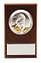 Плакетка малая «Тигр на монетах» с возможностью персонализации с логотипом в Волгограде заказать по выгодной цене в кибермаркете AvroraStore