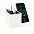 Настольный органайзер Elegans c беспроводной зарядкой - Белый BB с логотипом в Волгограде заказать по выгодной цене в кибермаркете AvroraStore