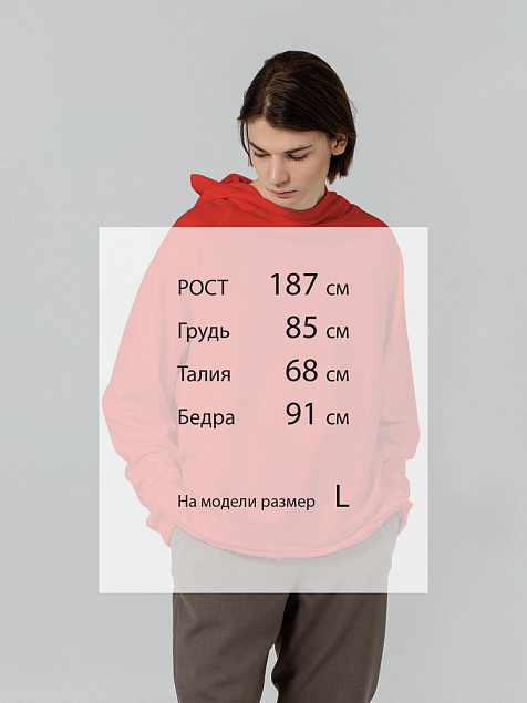 Худи Vozduh, красное с логотипом в Волгограде заказать по выгодной цене в кибермаркете AvroraStore