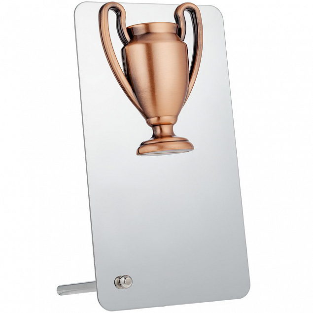 Награда Bowl Bronze с логотипом в Волгограде заказать по выгодной цене в кибермаркете AvroraStore