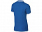 Рубашка поло "Erie" мужская с логотипом в Волгограде заказать по выгодной цене в кибермаркете AvroraStore