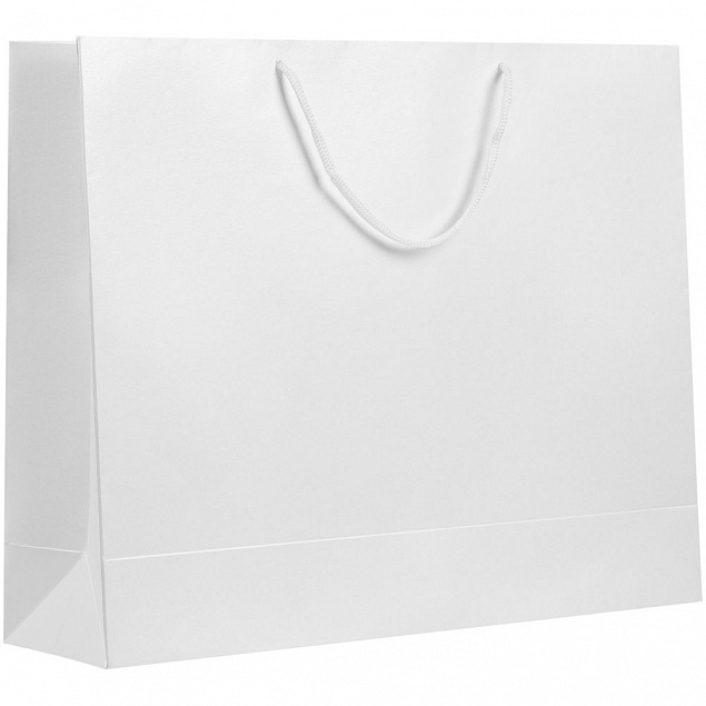 Пакет бумажный «Блеск», большой, белый с логотипом в Волгограде заказать по выгодной цене в кибермаркете AvroraStore