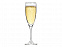 Бокал для шампанского «Flute» с логотипом в Волгограде заказать по выгодной цене в кибермаркете AvroraStore