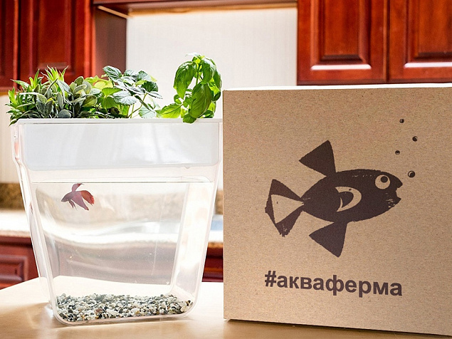 Набор для выращивания растений и ухода за рыбкой Акваферма с логотипом в Волгограде заказать по выгодной цене в кибермаркете AvroraStore