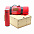 Подарочный набор Айзек, красный с логотипом в Волгограде заказать по выгодной цене в кибермаркете AvroraStore