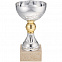Кубок Grail, серебристый с логотипом в Волгограде заказать по выгодной цене в кибермаркете AvroraStore
