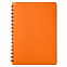 Ежедневник Portobello Trend, Vista, недатированный, оранжевый/коричневый с логотипом в Волгограде заказать по выгодной цене в кибермаркете AvroraStore
