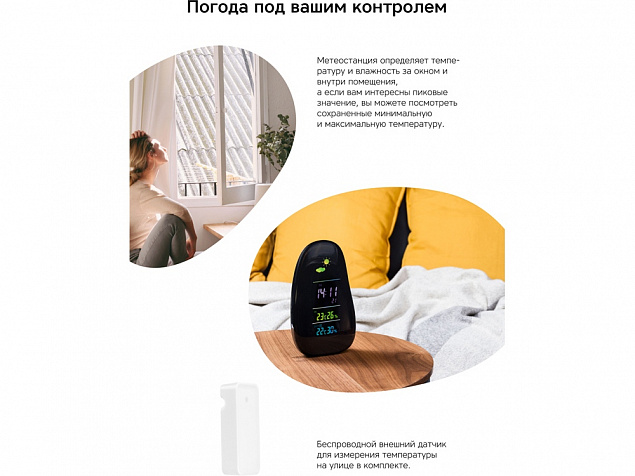Метеостанция StoneCast 1 WTS с логотипом в Волгограде заказать по выгодной цене в кибермаркете AvroraStore