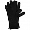 Перчатки Alpine, удлиненные, черные с логотипом в Волгограде заказать по выгодной цене в кибермаркете AvroraStore