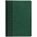 Ежедневник BRAND, недатированный, зеленый с логотипом в Волгограде заказать по выгодной цене в кибермаркете AvroraStore
