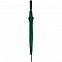 Зонт-трость Dublin, зеленый с логотипом в Волгограде заказать по выгодной цене в кибермаркете AvroraStore