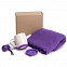 Набор подарочный SPRING WIND: плед, складной зонт, кружка с крышкой, коробка, фиолетовый с логотипом в Волгограде заказать по выгодной цене в кибермаркете AvroraStore