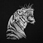 Свитшот мужской Like a Tiger, черный с логотипом в Волгограде заказать по выгодной цене в кибермаркете AvroraStore