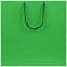 Пакет бумажный Porta, большой, зеленый с логотипом в Волгограде заказать по выгодной цене в кибермаркете AvroraStore