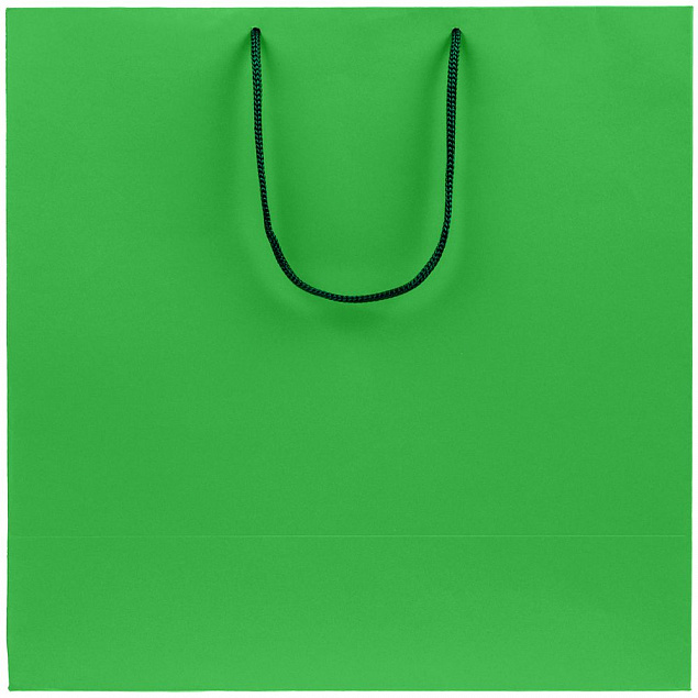 Пакет бумажный Porta, большой, зеленый с логотипом в Волгограде заказать по выгодной цене в кибермаркете AvroraStore