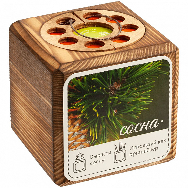 Набор для выращивания с органайзером «Экокуб Burn», сосна с логотипом в Волгограде заказать по выгодной цене в кибермаркете AvroraStore