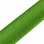 Браслет Wristler, зеленый с логотипом в Волгограде заказать по выгодной цене в кибермаркете AvroraStore