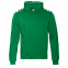 Толстовка Толстовка 20 Зелёный с логотипом в Волгограде заказать по выгодной цене в кибермаркете AvroraStore
