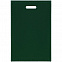 Чехол для пропуска Shall, зеленый с логотипом в Волгограде заказать по выгодной цене в кибермаркете AvroraStore