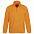 Куртка мужская North, оранжевый неон с логотипом в Волгограде заказать по выгодной цене в кибермаркете AvroraStore