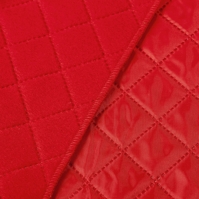 Плед для пикника Soft & Dry, темно-красный с логотипом в Волгограде заказать по выгодной цене в кибермаркете AvroraStore