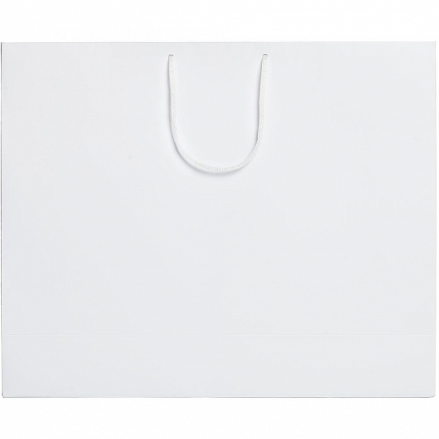 Пакет Ample L, белый с логотипом в Волгограде заказать по выгодной цене в кибермаркете AvroraStore
