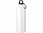 Бутылка для воды с карабином «Oregon», 770 мл с логотипом в Волгограде заказать по выгодной цене в кибермаркете AvroraStore